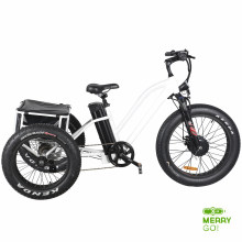 Cheap 48V 500W 3 Wheels Fat Tire Electric Trike